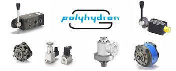 Polyhydron Radial Pumps